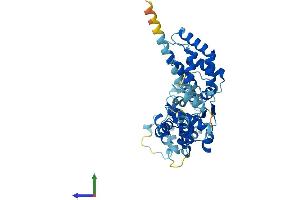 AlphaFold protein structure predicition of Human Recombinant ORC4 Protein, UniprotID O43929 (ORC4 Protein (AA 1-436) (His tag))