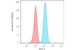 Flow Cytometric Analysis of T98G cells using GFAP Rabbit Recombinant Monoclonal Antibody (ASTRO/1974R) followed by Goat anti-Rabbit IgG-CF488 (Blue); Isotype Control (Red). (Recombinant GFAP antibody)