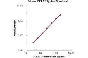 ELISA image for Chemokine (C-C Motif) Ligand 22 (CCL22) ELISA Kit (ABIN3198510)