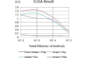 Black line: Control Antigen (100 ng),Purple line: Antigen (10 ng), Blue line: Antigen (50 ng), Red line:Antigen (100 ng) (FcRn antibody  (AA 24-297))