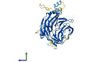 Protein Structure (PS) image for DDB1 and CUL4 Associated Factor 12 (DCAF12) (AA 1-453) protein (His tag) (ABIN7558598)
