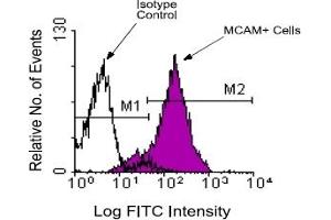 Flow Cytometry (FACS) image for anti-Melanoma Cell Adhesion Molecule (MCAM) antibody (ABIN371423)