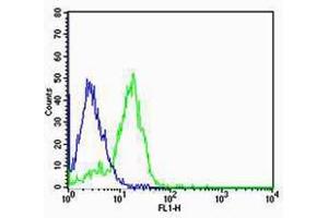 SK-N-MC cells probed with SDFR1/NPTN Polyclonal Antibody, unconjugated  at 1:100 dilution for 30 minutes compared to control cells (blue) and isotype control (orange) (NPTN antibody  (AA 51-150))