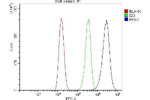 Flow Cytometry analysis of 293T cells using anti-PINK1 antibody (ABIN7599749). (PINK1 antibody  (AA 112-570))
