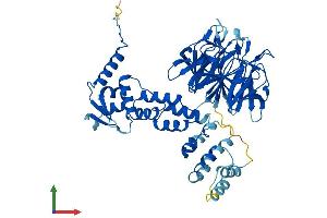 AlphaFold protein structure predicition of Mouse Recombinant Klhl23 Protein, UniprotID Q6GQU2