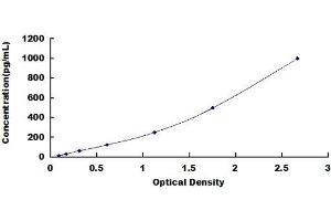 Typical standard curve