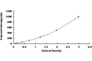 Typical standard curve (CXCL12 ELISA Kit)