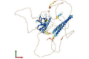 Protein Structure (PS) image for Actin Filament Associated Protein 1-Like 2 (AFAP1L2) (AA 1-818) protein (His tag) (ABIN7552037)