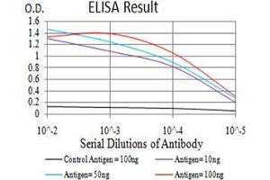 Black line: Control Antigen (100 ng);Purple line: Antigen (10ng); Blue line: Antigen (50 ng); Red line:Antigen (100 ng) (CTNNA1 antibody  (AA 371-574))