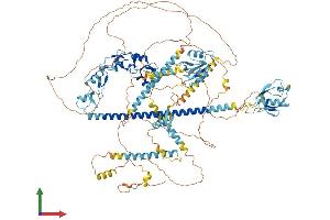 Protein Structure (PS) image for PDZ Domain Containing Ring Finger 3 (PDZRN3) (AA 1-1063) protein (His tag) (ABIN7564026)