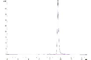 Size-exclusion chromatography-High Pressure Liquid Chromatography (SEC-HPLC) image for Ectonucleotide pyrophosphatase/phosphodiesterase 3 (ENPP3) (AA 48-157) protein (His-Avi Tag) (ABIN7274540)