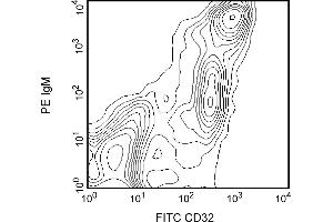 Flow Cytometry (FACS) image for anti-Fc gamma RII (CD32) antibody (ABIN967282) (Fc gamma RII (CD32) antibody)