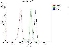 Flow Cytometry analysis of human PBMC cells using anti-CXCR2 antibody (ABIN7603138).