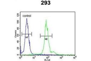 Flow cytometric analysis of 293 cells using ID4 Antibody (N-term) Cat. (ID4 antibody  (N-Term))