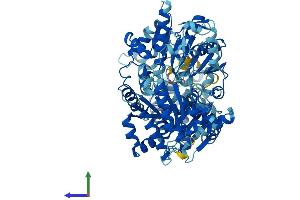 AlphaFold protein structure predicition of Human Recombinant ERCC2 Protein, UniprotID P18074