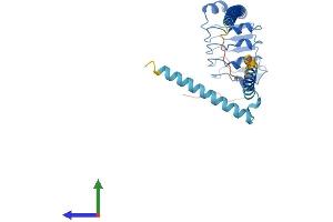 AlphaFold protein structure predicition of Human Recombinant LRRC59 Protein, UniprotID Q96AG4 (LRRC59 Protein (AA 1-307) (His tag))