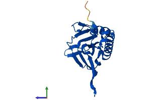 AlphaFold protein structure predicition of Human Recombinant DTD2 Protein, UniprotID Q96FN9