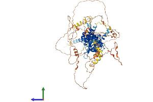Protein Structure (PS) image for Hypoxia Inducible Factor 1, alpha Subunit (Basic Helix-Loop-Helix Transcription Factor) (HIF1A) (AA 1-826) protein (His tag) (ABIN7554093)