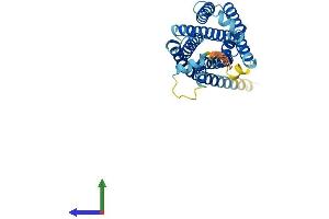AlphaFold protein structure predicition of Human Recombinant MRGPRD Protein, UniprotID Q8TDS7
