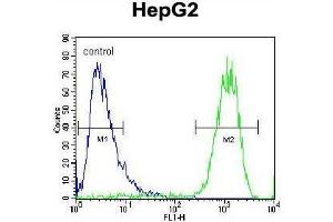 ATP5H Antibody (Center) flow cytometric analysis of HepG2 cells (right histogram) compared to a negative control cell (left histogram). (ATP Synthase Subunit D (AA 75-105), (Middle Region), (Subunit D) antibody)