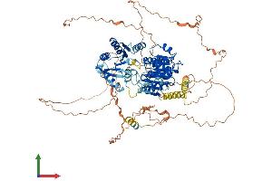 AlphaFold protein structure predicition of Mouse Recombinant Ddx20 Protein, UniprotID Q9JJY4