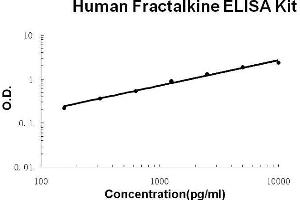 Human Fractalkine/CX3CL1 PicoKine ELISA Kit standard curve