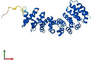 Protein Structure (PS) image for Rhabdoid Tumor Deletion Region Gene 1 (RTDR1) (AA 1-341) protein (His tag) (ABIN7560962)