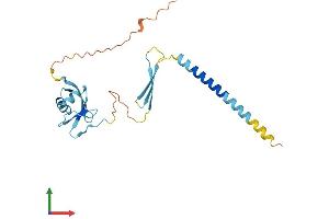 Protein Structure (PS) image for Cell Death-Inducing DFFA-Like Effector B (CIDEB) (AA 1-219) protein (His tag) (ABIN7562531)