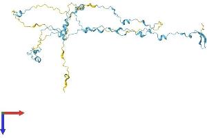 AlphaFold protein structure predicition of Mouse Recombinant Saxo2 Protein, UniprotID Q8BQB6 (FAM154B Protein (AA 1-394) (His tag))