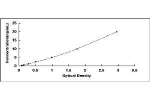 Typical standard curve (Asparagine Synthetase ELISA Kit)