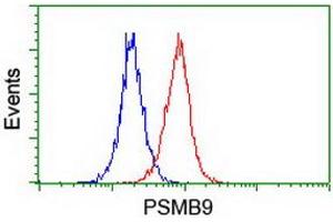 Image no. 3 for anti-Proteasome (Prosome, Macropain) Subunit, beta Type, 9 (Large Multifunctional Peptidase 2) (PSMB9) (AA 21-219) antibody (ABIN1491192) (PSMB9 antibody  (AA 21-219))