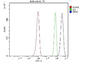 Flow Cytometry analysis of Hela cells using anti-RRP8 antibody (ABIN7600459). (RRP8 antibody  (AA 199-456))