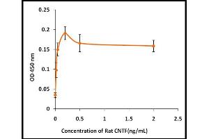 Activity Assay (AcA) image for Ciliary Neurotrophic Factor (CNTF) (Active) protein (ABIN5509412) (CNTF Protein)