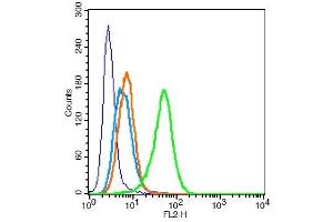 Human U937 cells probed with CD32 Polyclonal Antibody, Unconjugated  at 0. (Fc gamma RII (CD32) (AA 201-300) antibody)