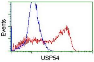USP54 antibody  (AA 358-700)