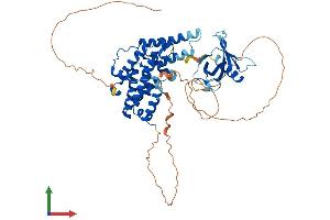 Protein Structure (PS) image for Ral GEF with PH Domain and SH3 Binding Motif 1 (RALGPS1) (AA 1-557) protein (His tag) (ABIN7551378)