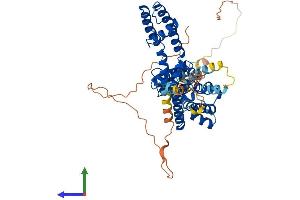 AlphaFold protein structure predicition of Human Recombinant KCNA2 Protein, UniprotID P16389 (KCNA2 Protein (AA 1-499) (His tag))