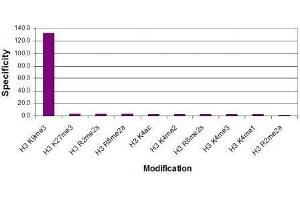 Histone H3 trimethyl Lys9 antibody specificity tested by peptide array analysis. (Histone 3 antibody  (H3K9me3))