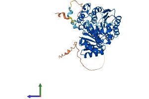 AlphaFold protein structure predicition of Mouse Recombinant Ddx6 Protein, UniprotID P54823 (DDX6 Protein (AA 1-483) (His tag))