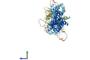 AlphaFold protein structure predicition of Mouse Recombinant Nlrp6 Protein, UniprotID Q91WS2 (NLRP6 Protein (AA 1-869) (His tag))
