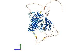 AlphaFold protein structure predicition of Mouse Recombinant Ddx17 Protein, UniprotID Q501J6 (DDX17 Protein (AA 1-650) (His tag))