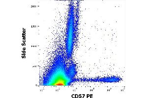 Flow cytometry surface staining pattern of human peripheral whole blood stained using anti-human CD57 (TB01) PE antibody (10 μL reagent / 100 μL of peripheral whole blood). (CD57 antibody  (PE))