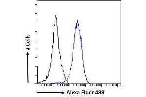 (ABIN184863) Flow cytometric analysis of paraformaldehyde fixed HeLa cells (blue line), permeabilized with 0. (RAD51AP1 antibody  (C-Term))
