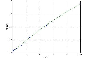 gamma-aminobutyric Acid (GABA) A Receptor, alpha 2 (GABRA2) ELISA Kit