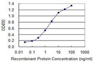 Detection limit for recombinant GST tagged UBQLN1 is 0. (Ubiquilin 1 antibody  (AA 1-589))