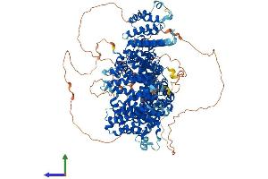 AlphaFold protein structure predicition of Human Recombinant STAG1 Protein, UniprotID Q8WVM7 (Stromal Antigen 1 Protein (STAG1) (AA 1-1258) (His tag))