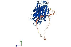 AlphaFold protein structure predicition of Human Recombinant LGALS9B Protein, UniprotID Q3B8N2