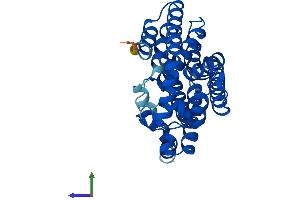 AlphaFold protein structure predicition of Mouse Recombinant Ggps1 Protein, UniprotID Q9WTN0 (GGPS1 Protein (AA 1-300) (His tag))