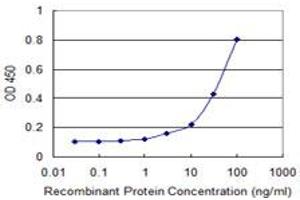 Detection limit for recombinant GST tagged PAIP1 is 1 ng/ml as a capture antibody. (PAIP1 antibody  (AA 76-185))