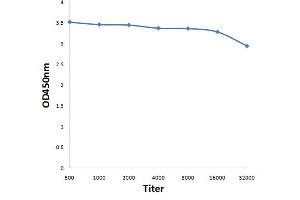 Antigen: 0. (RACGAP1 antibody  (pSer387))